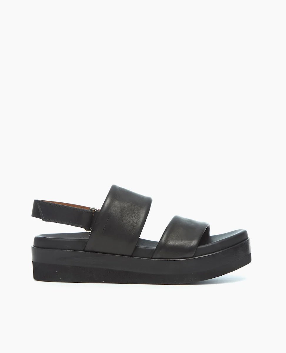 Dude Sandal - thegreatputonmvDude SandalDude SandalDude SandalCoclicothegreatputonmvDudeDude Sandal41Black