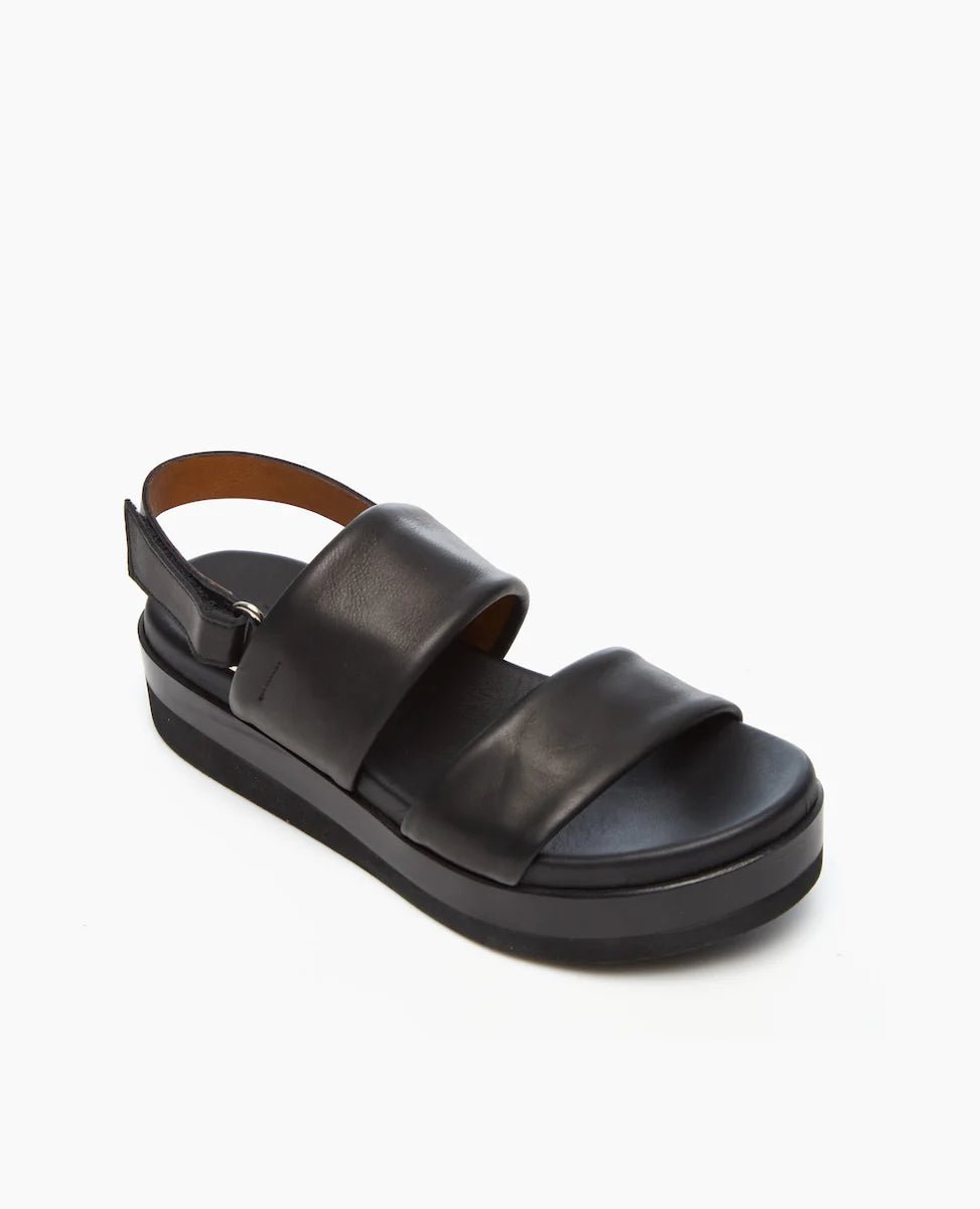 Dude Sandal - thegreatputonmvDude SandalDude SandalDude SandalCoclicothegreatputonmvDudeDude Sandal41Black