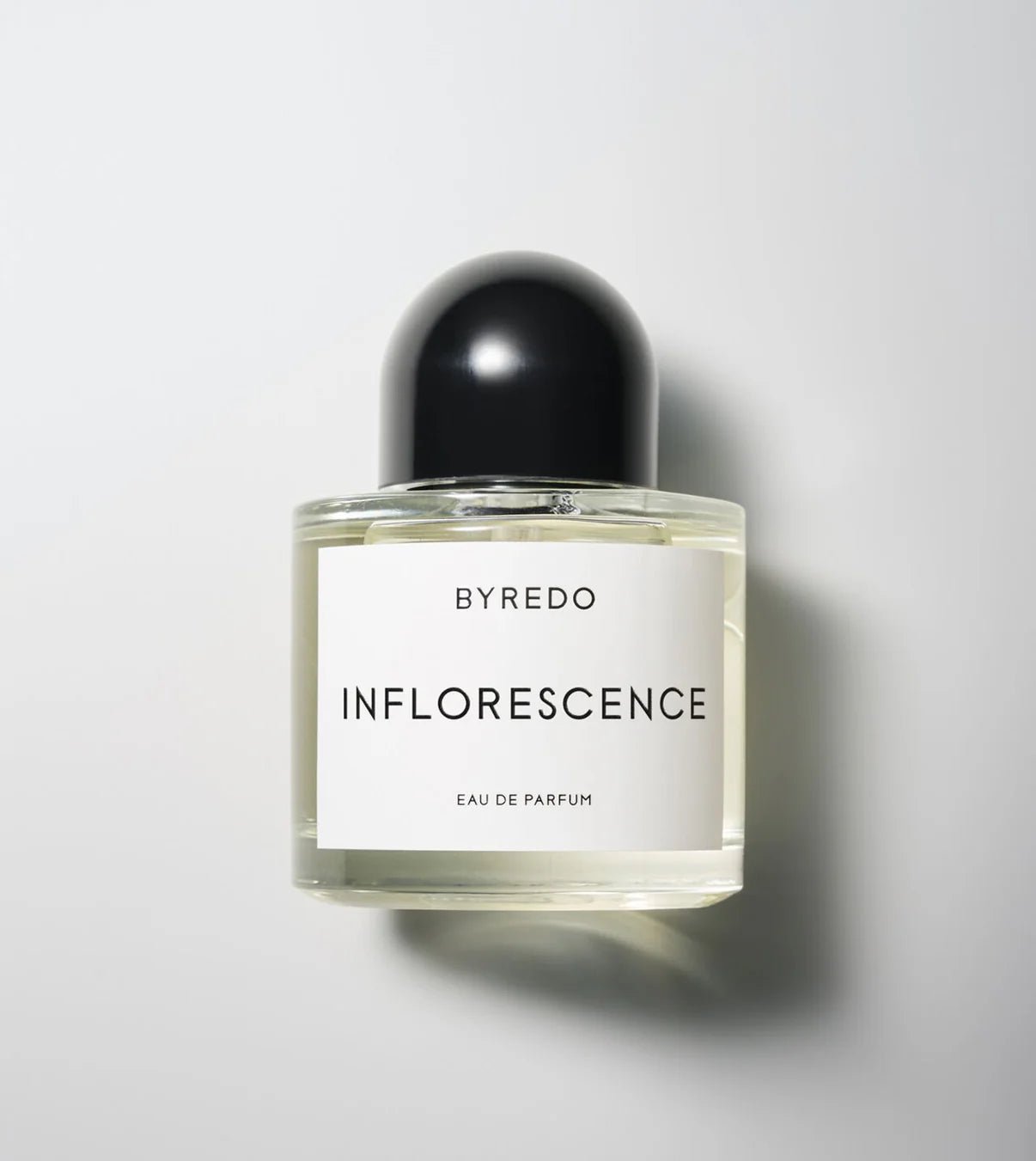 Inflorescence - thegreatputonmvInflorescenceInflorescenceInflorescencePERFUMESByredothegreatputonmvinflorescence-1Inflorescence100 ml
