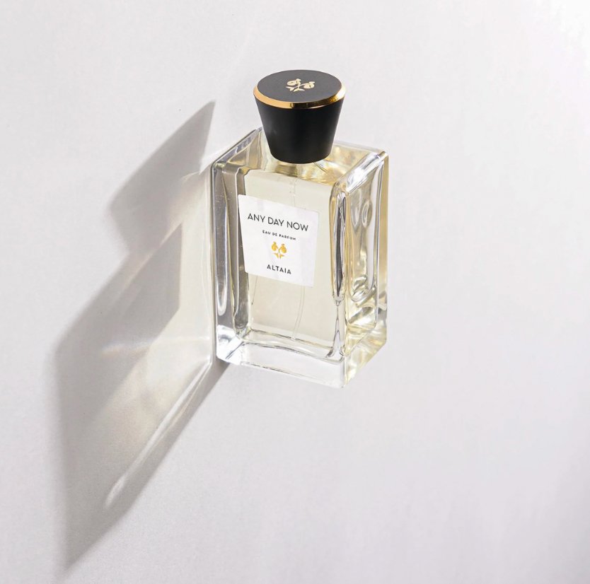 Any Day Now - thegreatputonmvAny Day NowAny Day NowAny Day NowFragranceAltaiathegreatputonmvAny Day Now12397596