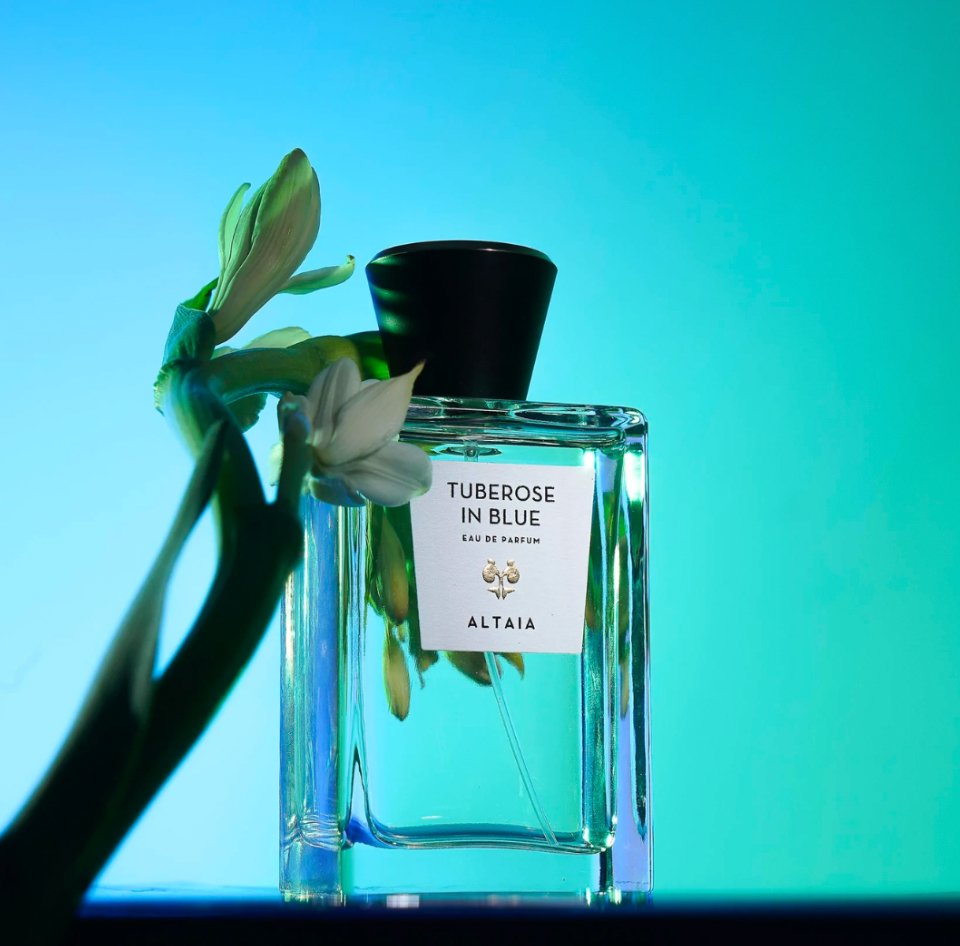 Tuberose In Blue - thegreatputonmvTuberose In BlueTuberose In BlueTuberose In BlueFragranceAltaiathegreatputonmvTuberose In Blue83536924