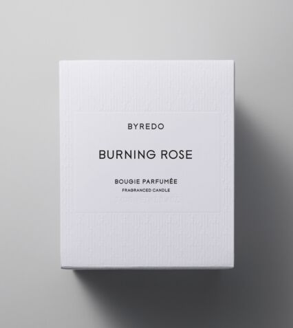 Burning Rose - thegreatputonmvBurning RoseBurning RoseBurning RoseCandleByredothegreatputonmvBurning Rose240 grams30151452